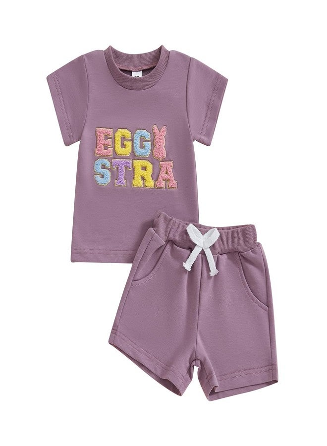 wybzd Toddler Baby Boy Girl Easter Outfits Egg Hunter Star Bunny T-shirt Summer Shorts Set Little Kids Matching Easter Outfit Purple Egg Star 3-4 Years - Image 1
