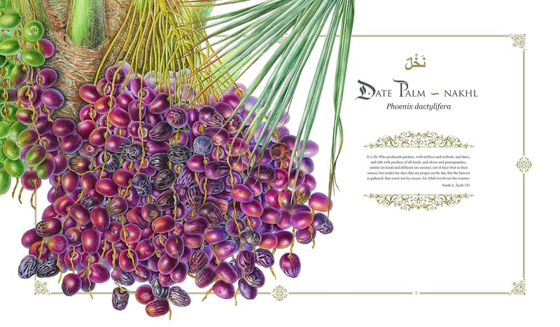 Plants of the Quran: History & Culture - Image 4