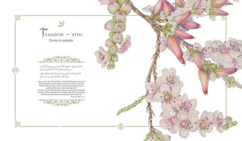 Plants of the Quran: History & Culture - Image 3