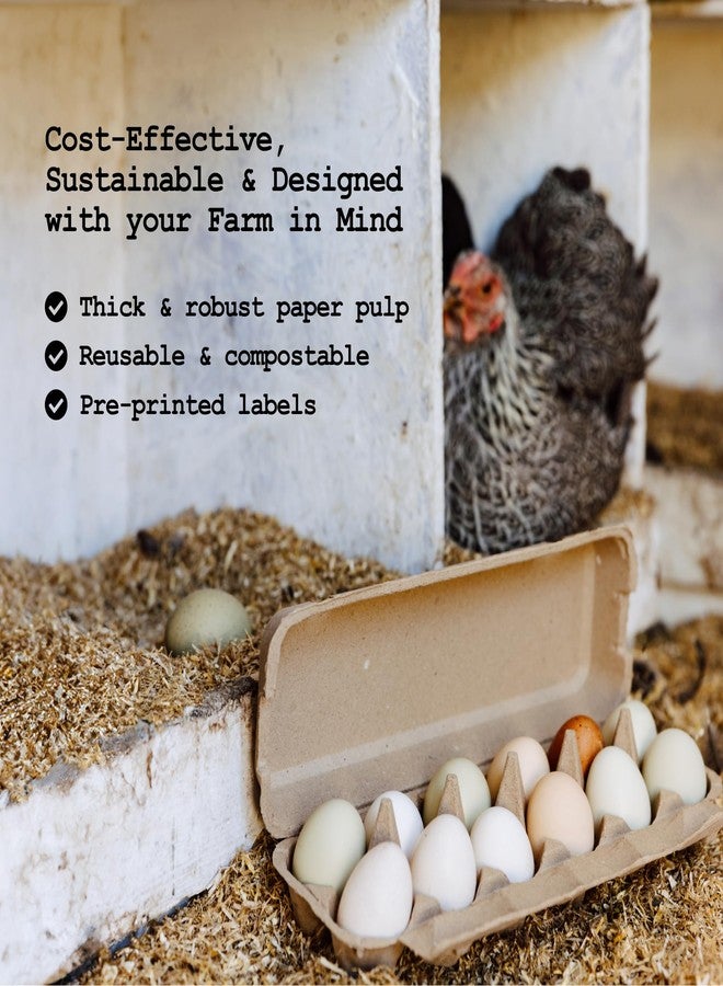 PTCOM Hatortempt 48-pack of Egg Cartons Cheap Bulk - Paper Pulp Egg Cartons 12 Count - Fits Small to Jumbo Eggs - Reusable Egg Holder - Printed Labels - Image 3