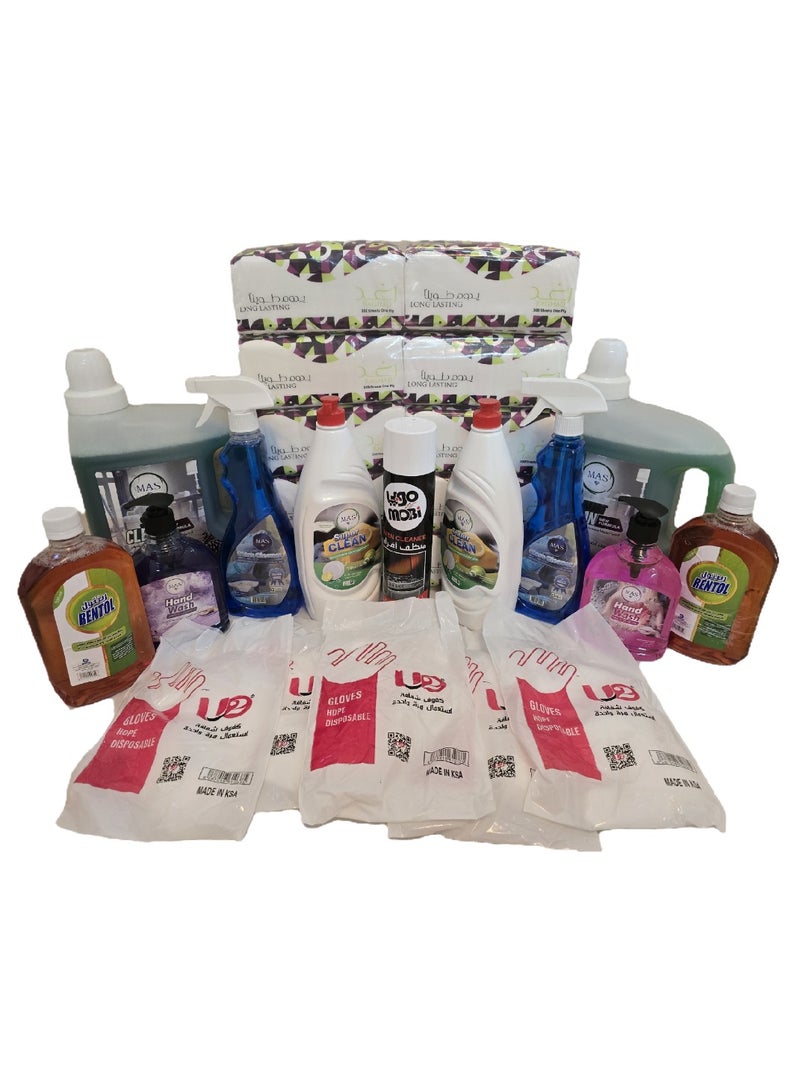 Generic Everything you need for home cleaning in one set - 17 perfect pieces 