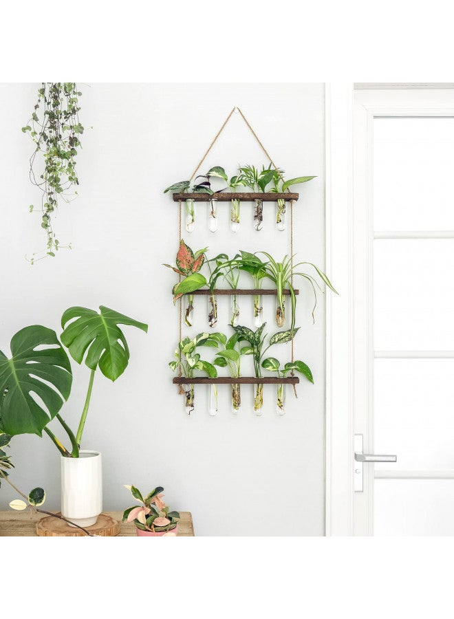 Mkono Mkono Plant Propagation Tubes, 3 Tiered Wall Hanging Plant Terrarium with Wooden Stand Mini Test Tube Flower Vase Glass Planter for Hydroponic Plant Cutting Home Garden Office Decor Plant Lover Gift - Image 5