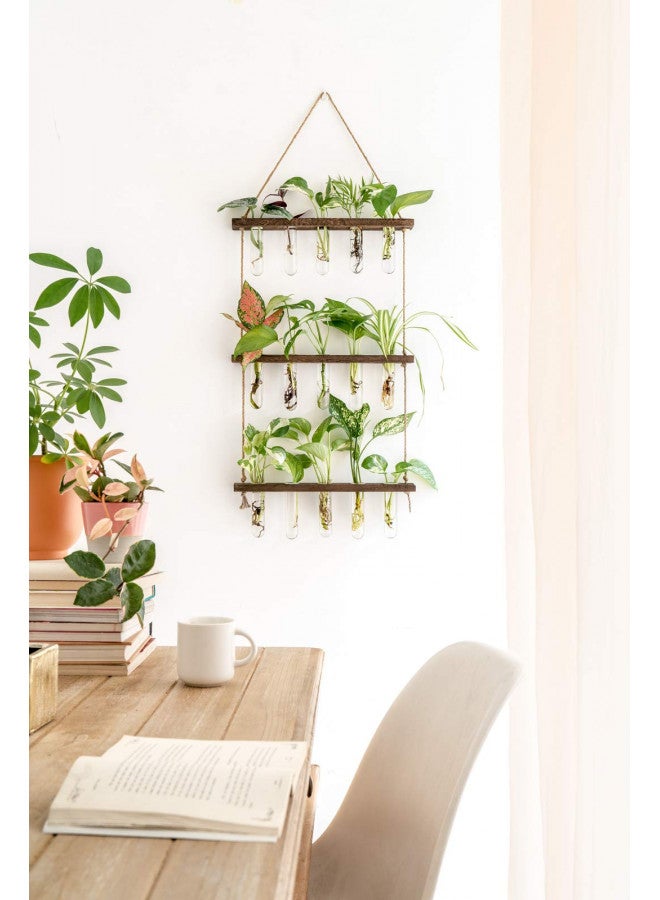 Mkono Mkono Plant Propagation Tubes, 3 Tiered Wall Hanging Plant Terrarium with Wooden Stand Mini Test Tube Flower Vase Glass Planter for Hydroponic Plant Cutting Home Garden Office Decor Plant Lover Gift - Image 3