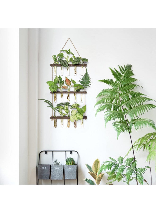Mkono Mkono Plant Propagation Tubes, 3 Tiered Wall Hanging Plant Terrarium with Wooden Stand Mini Test Tube Flower Vase Glass Planter for Hydroponic Plant Cutting Home Garden Office Decor Plant Lover Gift - Image 2