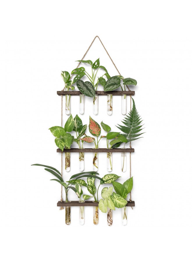 Mkono Mkono Plant Propagation Tubes, 3 Tiered Wall Hanging Plant Terrarium with Wooden Stand Mini Test Tube Flower Vase Glass Planter for Hydroponic Plant Cutting Home Garden Office Decor Plant Lover Gift - Image 1