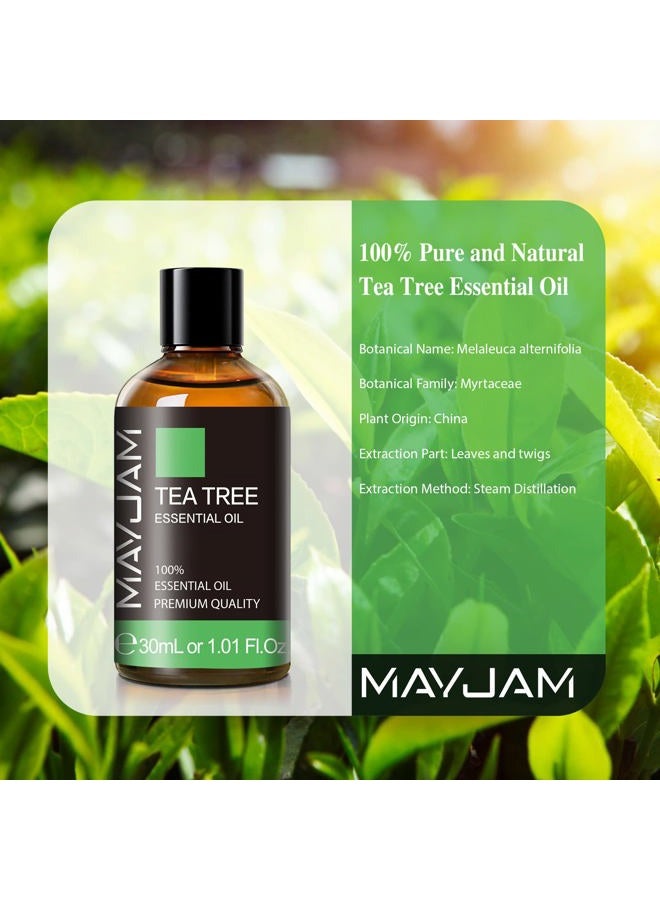 MAYJAM Tea Tree Essential Oil, MAYJAM Pure Essential Oils for Diffusers for Home and Office, 1.01FL.OZ Tea Tree Oil for Candle Making, DIY Soap, 30ML/Bottle - Image 3