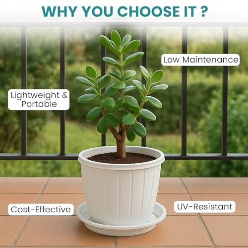 Go HookedPlastic Duro Flower Pot for Gardening, Indoor/Outdoor Planter-White (8 Inch)(Pack of 4 with Tray) - Image 5