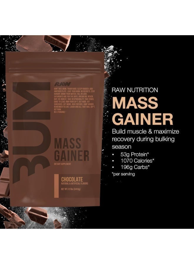 Raw - Cbum Mass Gainer 12Lbs Chocolate
