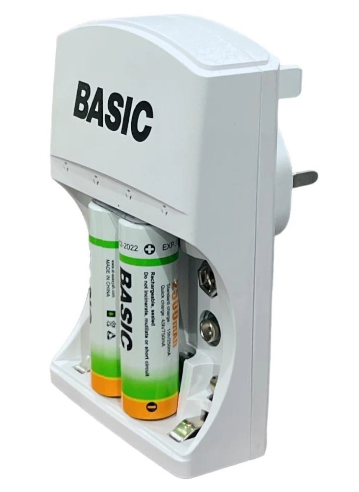 AA/AAA/9V/Ni-MH/Ni-Cd Recharble Battery