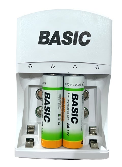 AA/AAA/9V/Ni-MH/Ni-Cd Recharble Battery