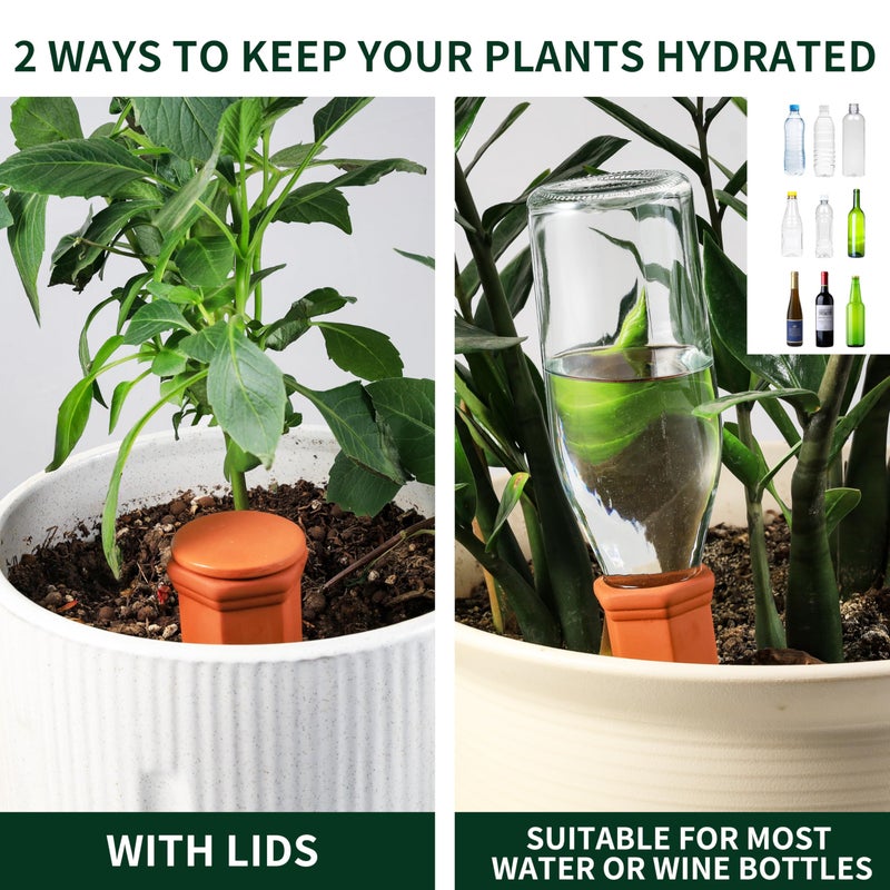 Soilagua Large Terracotta Watering Spikes with Lids, Automatic Plant Waterer Outdoor | Indoor, Vacation Friendly Clay Plant Watering Devices System, Slow Release Self Watering Planter Insert, 6 Pack - Image 3