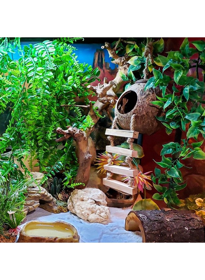 Plants Leopard Gecko Cage Accessories Leopard Gecko Tank