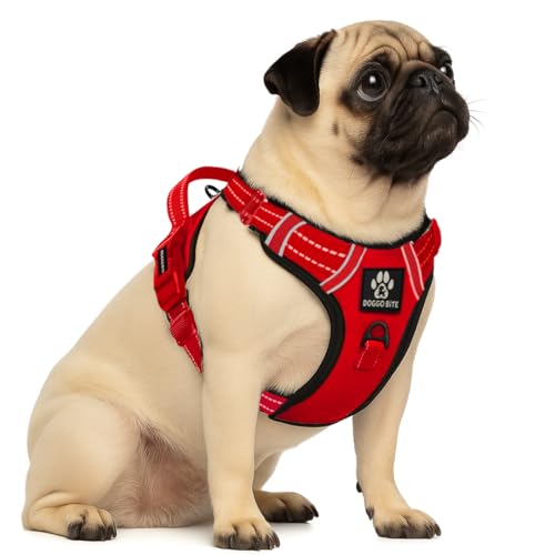 Doggo Bite Premium Reflective Dog Vest Harness| Soft Breathable| Padded Handle| Adjustable Straps & Luxury Buckle | Soft Padded Mesh | No Pull | No-Choke | Chest (22-28inch) All Small Breeds 4-13Kg - Image 1
