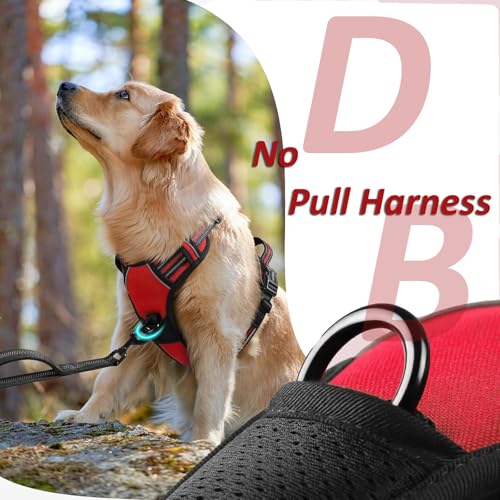 Doggo Bite Premium Reflective Dog Vest Harness| Soft Breathable| Padded Handle| Adjustable Straps & Luxury Buckle | Soft Padded Mesh | No Pull | No-Choke | Chest (22-28inch) All Small Breeds 4-13Kg - Image 5