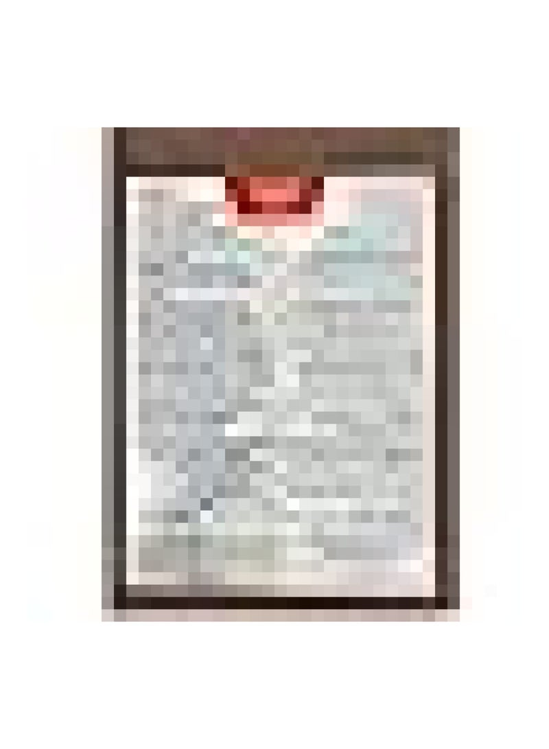Salonpas Pain Relief Patch - 20 Patches - Image 2