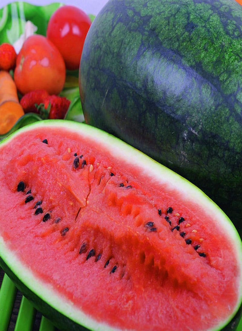 جي جوت بذور للزراعة، 50 قطعة من بذور البطيخ سهلة النمو، فاكهة صيفية حلوة، نباتات حقلية للحديقة والمزرعة - بذور البطيخ - Image 1