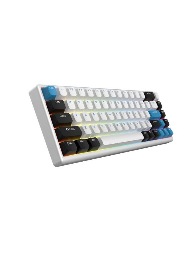 Arbiter Polar 65 - CNC Mechanical Gaming Keyboard - Magnetic Salon Effect Switches, CNC Aluminum Frame, Quick Key, 65% Compact, Bright RGB, Double Shot PBT Keys, Color - Image 1