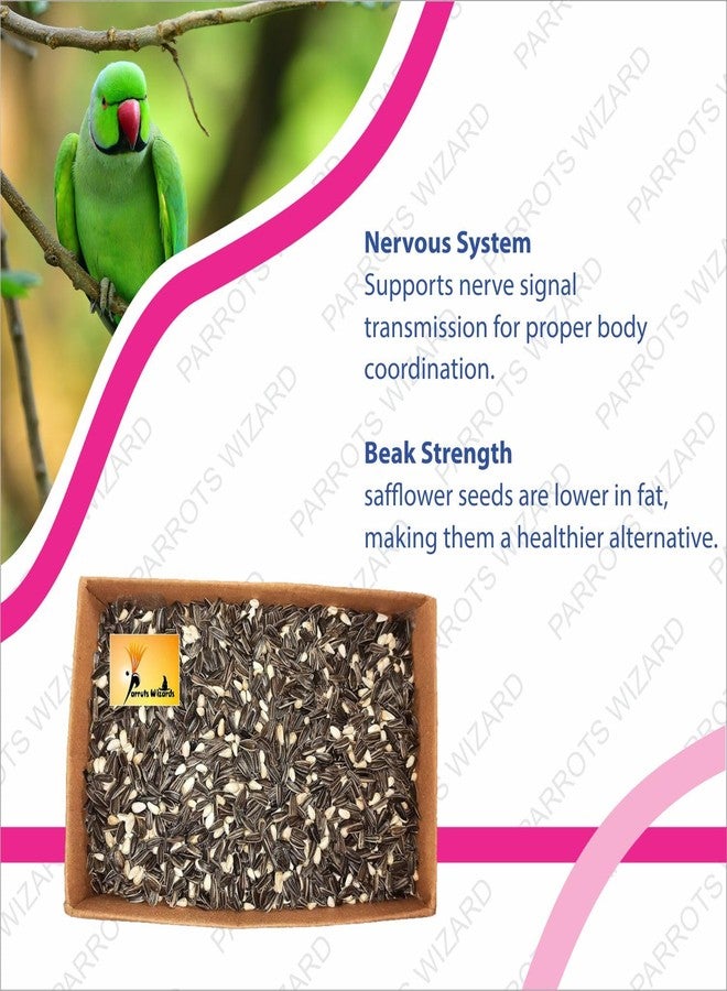 Parrots Wizard مزيج بذور دوار الشمس والقرطم الصغيرة من باروتس ويزارد للطيور 1800 غرام - Image 2