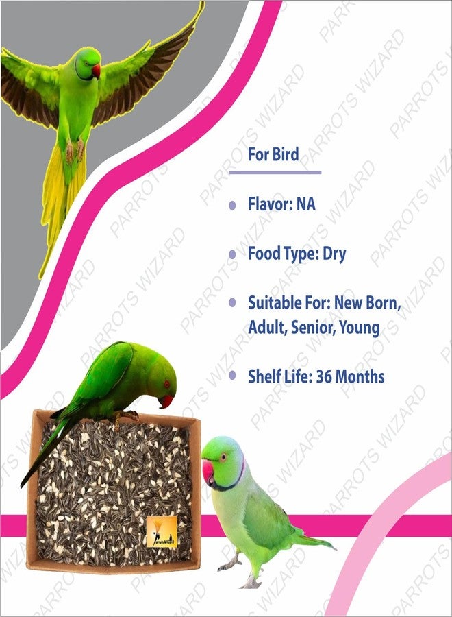 Parrots Wizard مزيج بذور دوار الشمس والقرطم الصغيرة من باروتس ويزارد للطيور 1800 غرام - Image 4