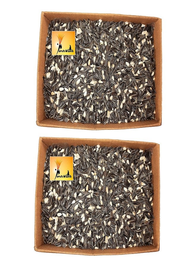 Parrots Wizard مزيج بذور دوار الشمس والقرطم الصغيرة من باروتس ويزارد للطيور 1800 غرام - Image 1