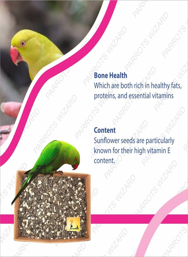 Parrots Wizard مزيج بذور دوار الشمس والقرطم الصغيرة من باروتس ويزارد للطيور 1800 غرام - Image 3