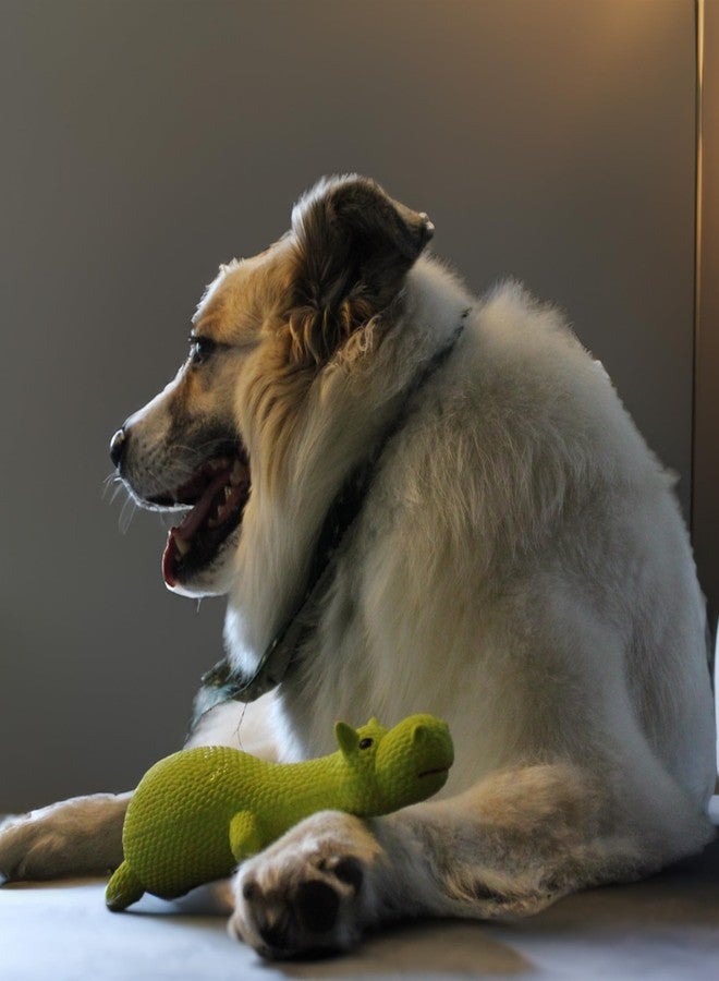 SPOT Latex Friends Dog Toys -Soft & Stuffing-Free with Honking Squeaker, 100% Latex, Brightly Colored, Ideal for Small/Medium Dogs & Light Chewers, 9-inch Assorted Styles - Image 4