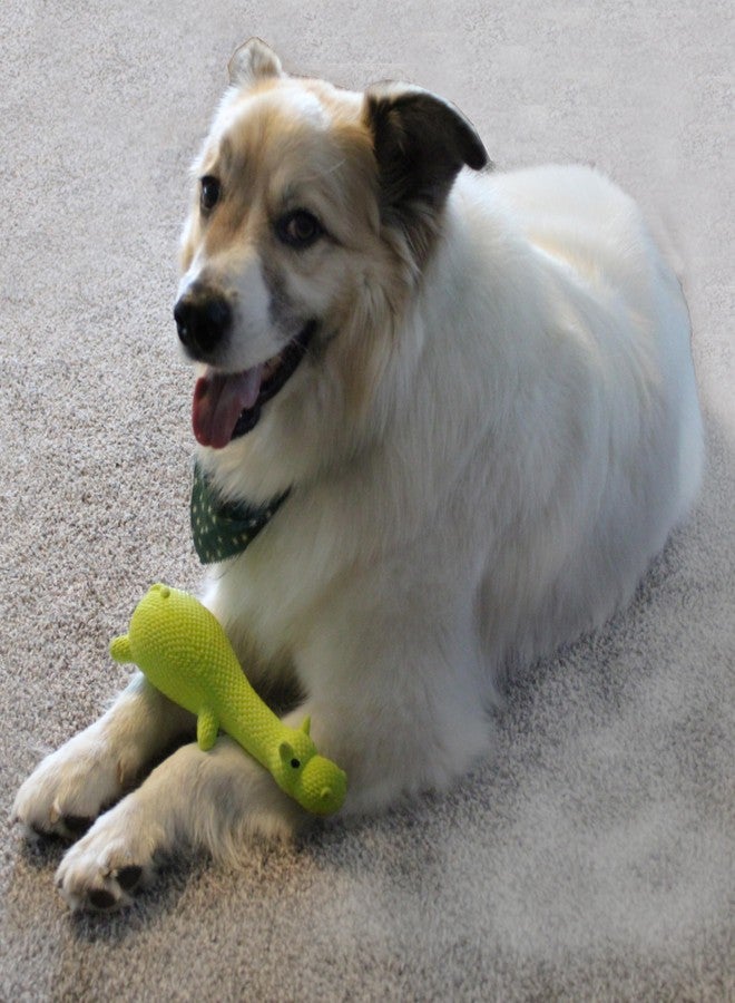 SPOT Latex Friends Dog Toys -Soft & Stuffing-Free with Honking Squeaker, 100% Latex, Brightly Colored, Ideal for Small/Medium Dogs & Light Chewers, 9-inch Assorted Styles - Image 2