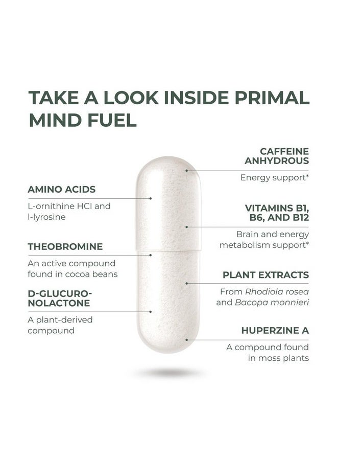 برايمال هارڤيست عبوة مكونة من 2 قطعة من Primal Mind Fuel لتعزيز التركيز والطاقة والوضوح والذاكرة وصحة الدماغ، 30 كبسولة من مكملات دعم الدماغ Nootropics للرجال والنساء  - Image 4