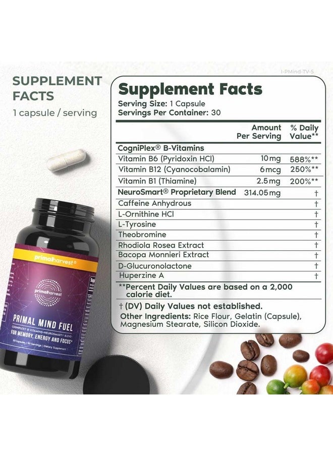 برايمال هارڤيست عبوة مكونة من 2 قطعة من Primal Mind Fuel لتعزيز التركيز والطاقة والوضوح والذاكرة وصحة الدماغ، 30 كبسولة من مكملات دعم الدماغ Nootropics للرجال والنساء  - Image 2