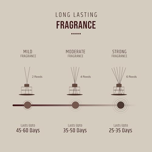 Aromahpure Black Fiber Reeds for Diffuser | 8-inch-Long Refill Reed Sticks (8" x 3mm, Black) | 25 Pieces Set of Reed Diffuser Sticks only | Ideal Aroma Sticks for Room & Home Fragrance Oil diffusers - Image 4