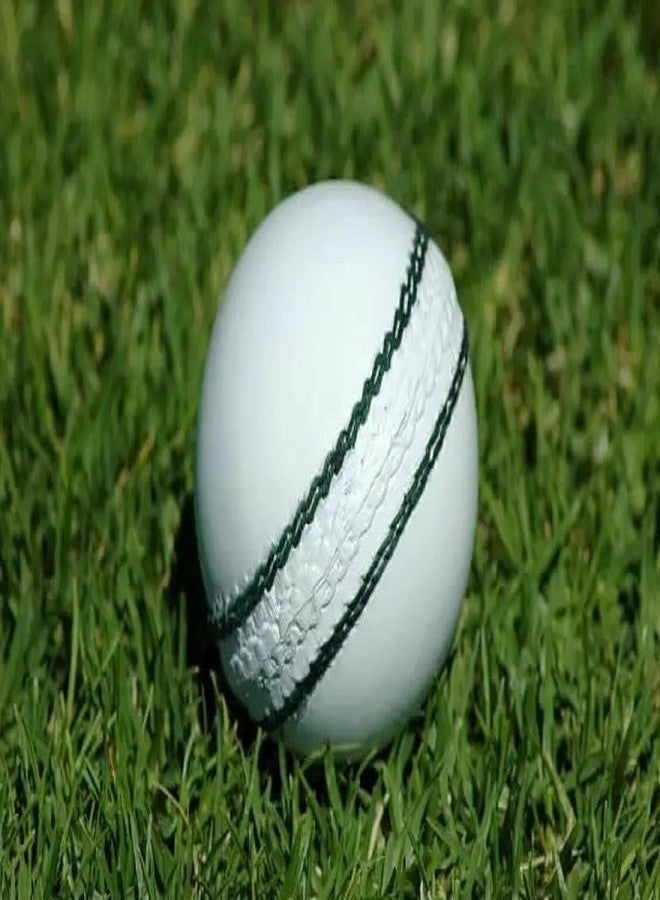 Owlix Cricket White Leather Cricket.. Cricket Leather Ball (Standard, Pack of 1, White) - Image 4