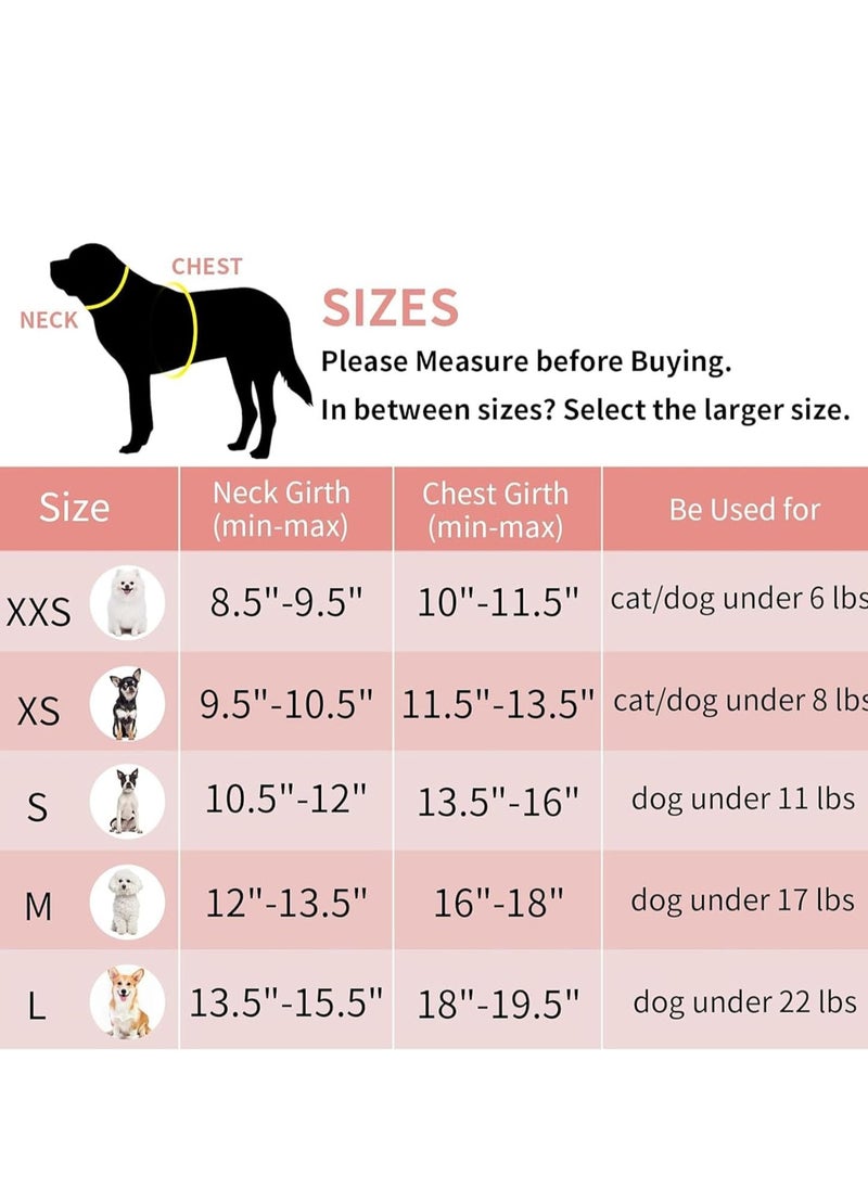 Vparty - Dog Harness for Small & Medium Dogs, No Pull Puppy Harness and Leash Set, Easy Walk Dog Harness for Walking, Running, and Training, Comfortable Small Dog and Medium Dog Harness, Adjustable, Durable, Perfect for Everyday Use - Image 1