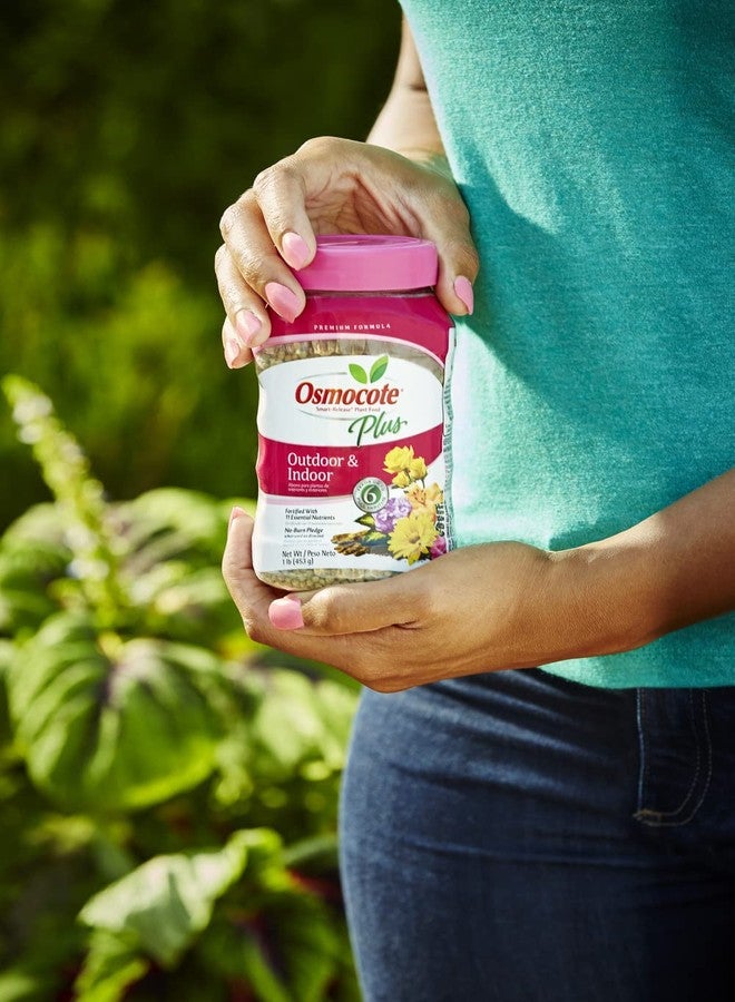 Osmocote Smart-Release Plant Food Plus Outdoor & Indoor, 1 lb. - Image 4