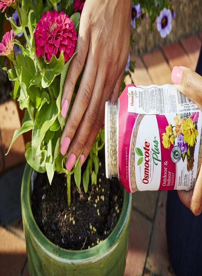 Osmocote Smart-Release Plant Food Plus Outdoor & Indoor, 1 lb. - Image 2