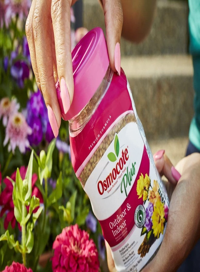 Osmocote Smart-Release Plant Food Plus Outdoor & Indoor, 1 lb. - Image 3