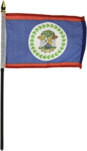 US Flag Store علم الولايات المتحدة متجر علم بليز، 4 × 6 بوصة - Image 4