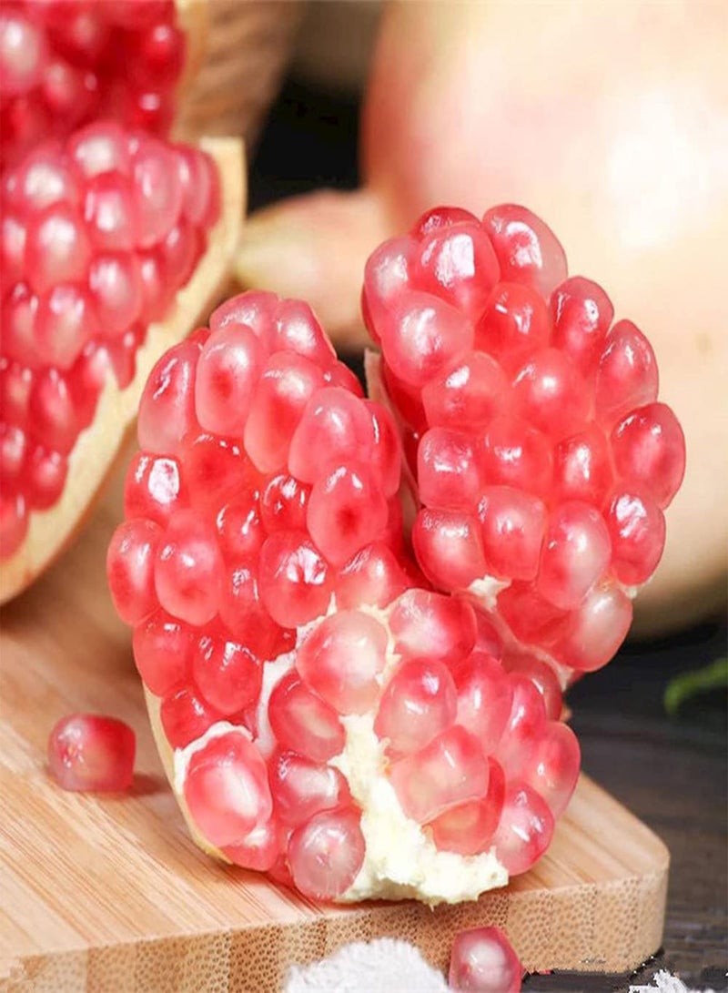 جي جوت 100 قطعة من بذور الرمان، فاكهة غير معدلة وراثيًا، مغذية ولذيذة وحلوة وعصيرة، مزروعة في حديقة المزرعة، سهلة العناية، مناسبة للمبتدئين - Image 3