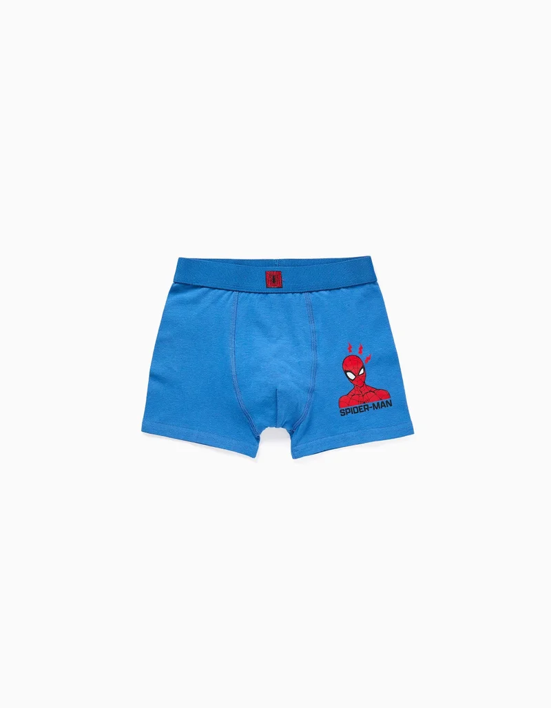 Ziddy Underwear For Boys, Multicolour