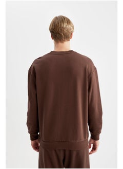 DeFacto Man Boxy Fit Crew Neck Long Sleeve Knitted Sweat Shirt  - Image 5