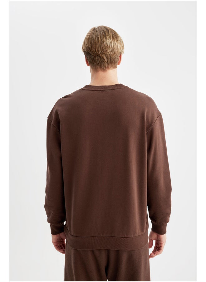 DeFacto - Man Boxy Fit Crew Neck Long Sleeve Knitted Sweat Shirt - Image 1