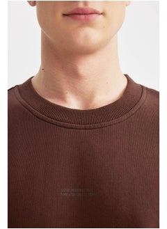 DeFacto Man Boxy Fit Crew Neck Long Sleeve Knitted Sweat Shirt  - Image 3