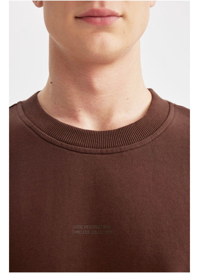 DeFacto - Man Boxy Fit Crew Neck Long Sleeve Knitted Sweat Shirt - Image 1