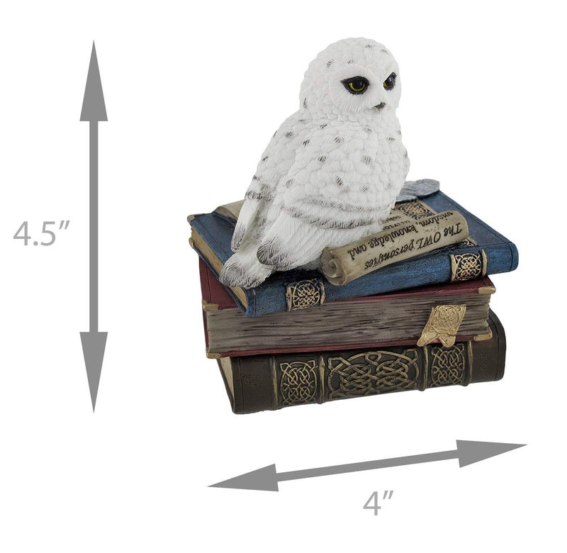Veronese Design Wise Snow Owl Resting on Scholar`s Books Trinket Box - Image 5