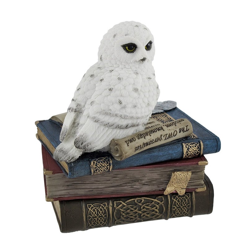 Veronese Design Wise Snow Owl Resting on Scholar`s Books Trinket Box - Image 1
