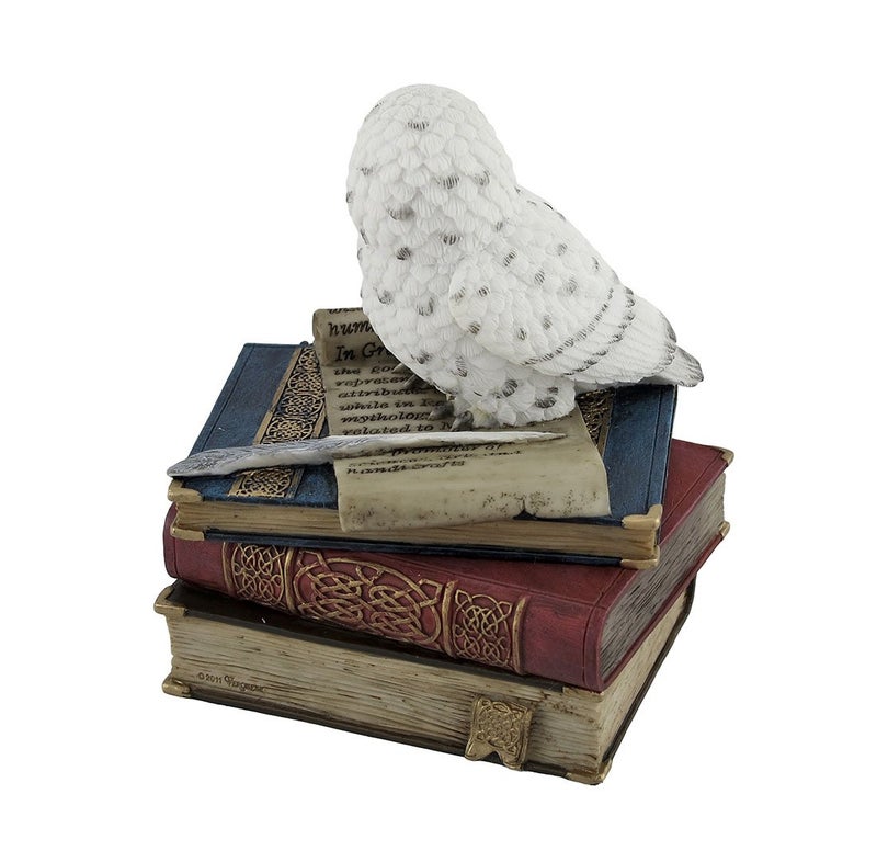 Veronese Design Wise Snow Owl Resting on Scholar`s Books Trinket Box - Image 3
