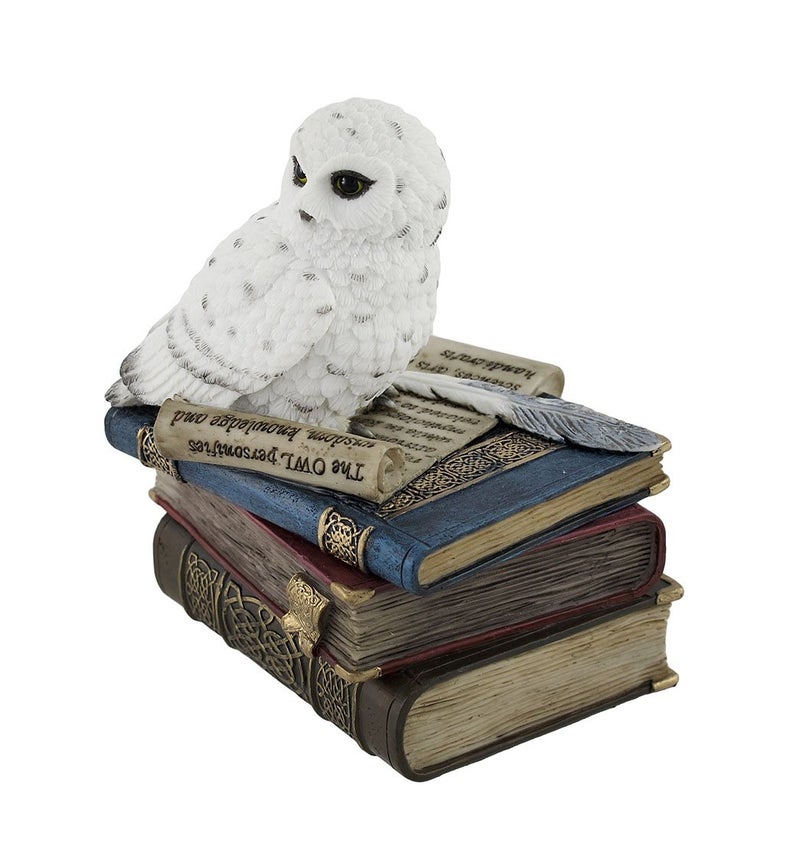 Veronese Design Wise Snow Owl Resting on Scholar`s Books Trinket Box - Image 2