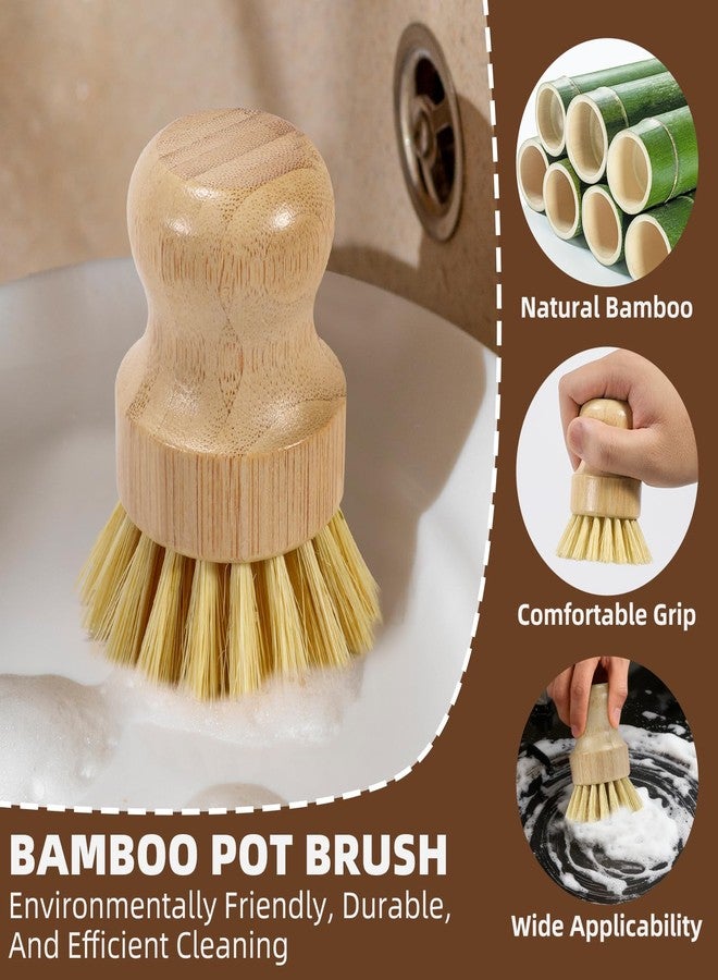 SAMEBUTECO 6-Piece Bamboo Dish Brush Set with 2X Fast-Dry Stainless Steel Holder,3xNatural Sisal Bristle Brush & 1xPalm Bristle Kitchen Cleaning Brushes for Dishes, Pots, Pans & Sink - Image 4
