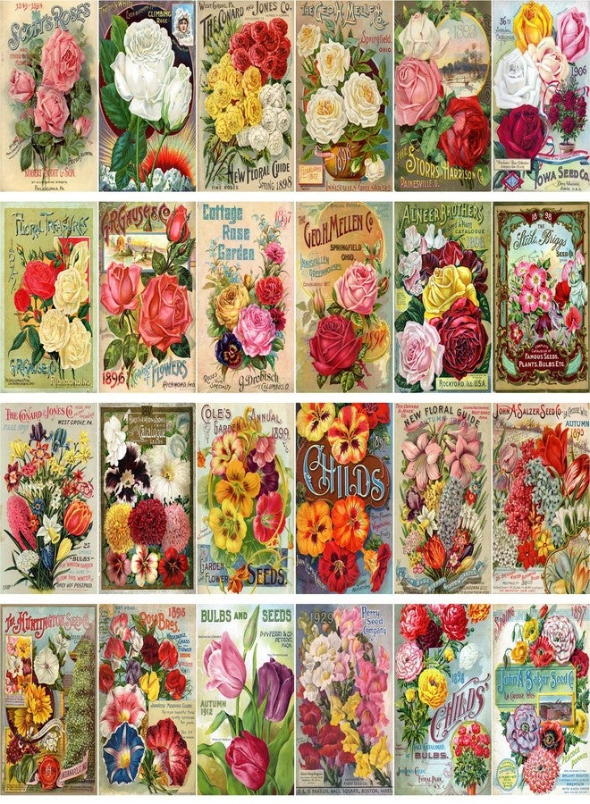 PIXILUV Vintage PostCards 24 pcs Flowers Vintage Gardens and Roses - Image 2