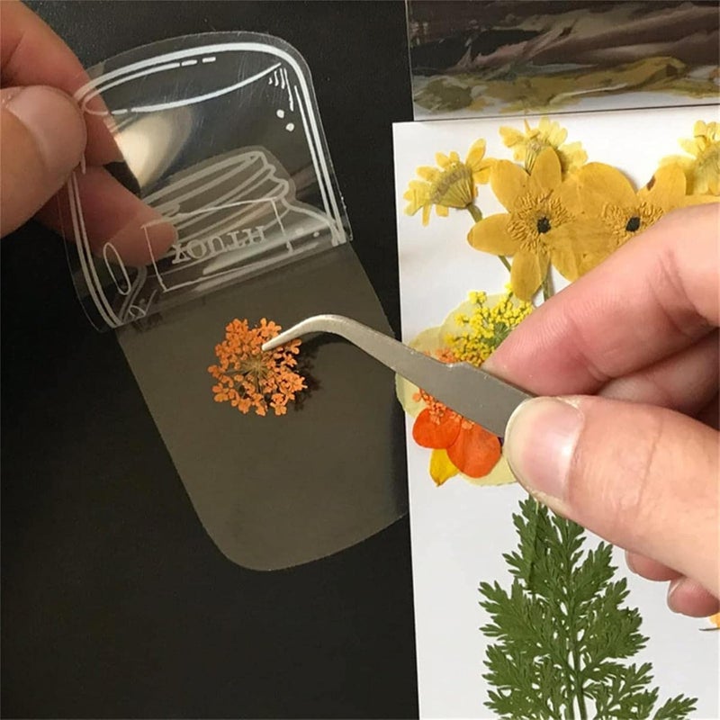 klarako Dried Flower Bookmark Bottle,Transparent Dried Flower Bookmarks,DIY Dried Flower Bookmark,Handmade Natural Dried Flower Bookmark,Fit Female Girl Adult Child Graduation (30PCS A) - Image 5