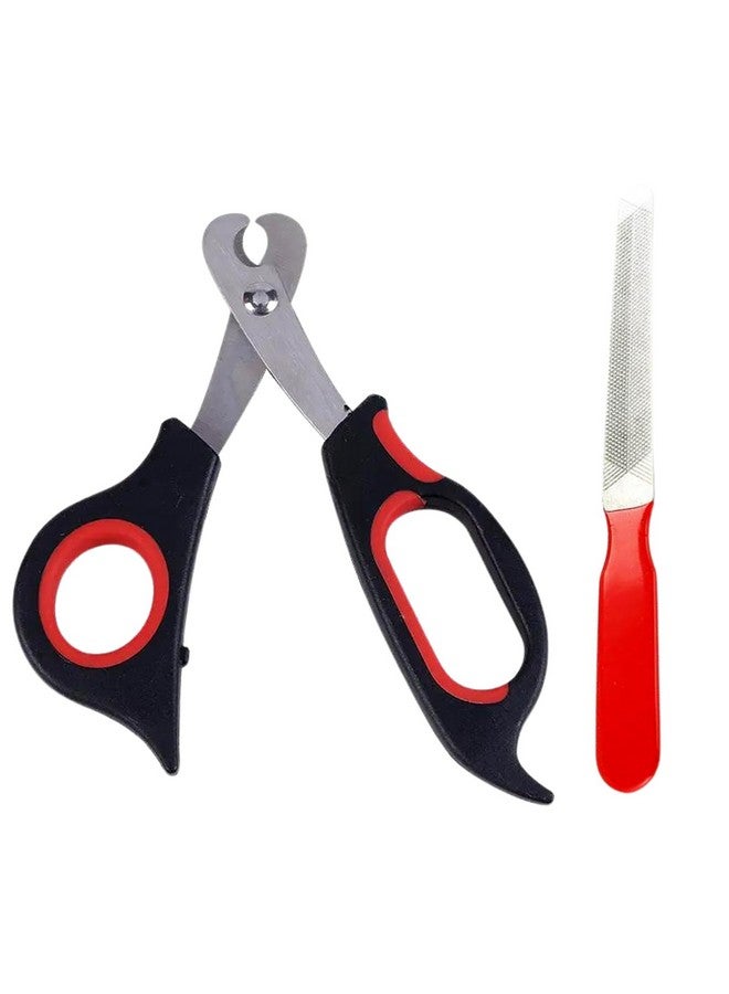 إيميلي بيتس مقص أظافر احترافي من الفولاذ المقاوم للصدأ لقص أظافر القطط والكلاب (متوسط)، أسود - Image 1